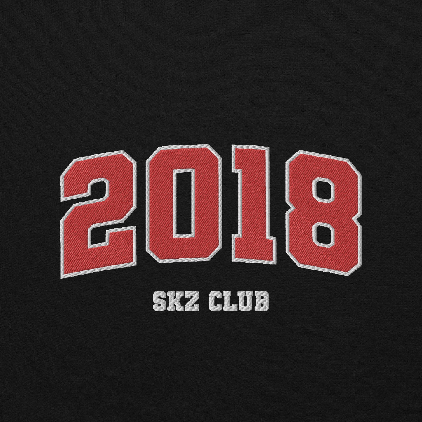 Pull 2018 - Stray Kids